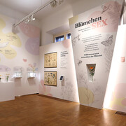 Flower sex. The colourful love life of plants, exhibition view. Courtesy of Natural History Museum