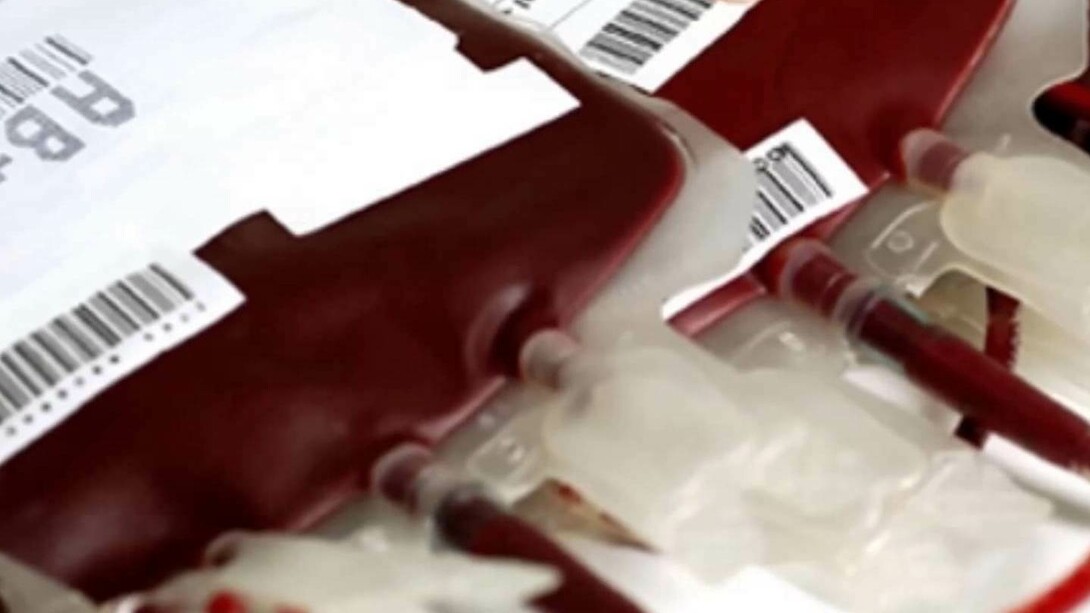 Bolsas de sangre donada