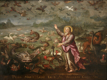 Dio che crea gli uccelli e i pesci