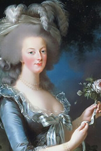 Elisabeth Vigée Le Brun Marie Antoinette with a Rose (1783)