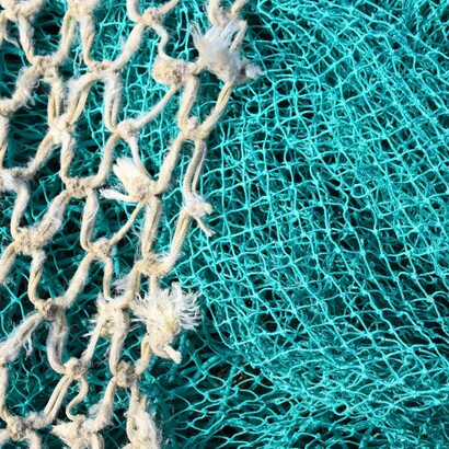 Nelle reti dei pescatori del Reno potevano comparire creature delicate, luminose e impossibili da trattenere