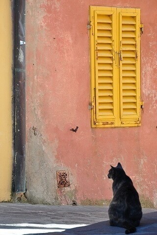 Scorcio del centro storico