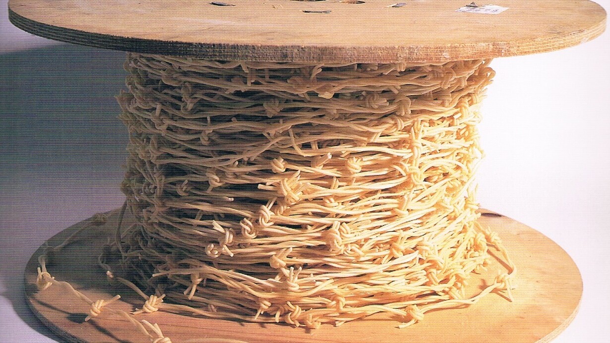 Anthony Key. Trespassing