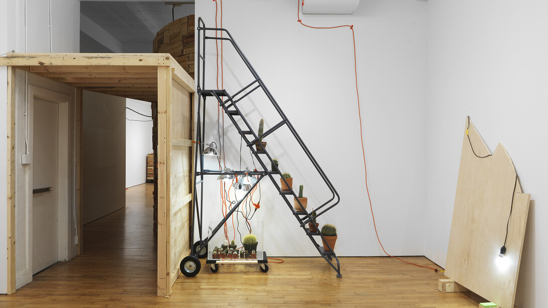 Installation view, Phoebe Washburn, Giving Good Fwar Gwaar. Courtesy the artist and Marinaro, New York