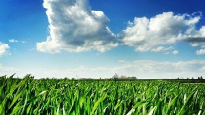 Foto: Marcello Chiappini