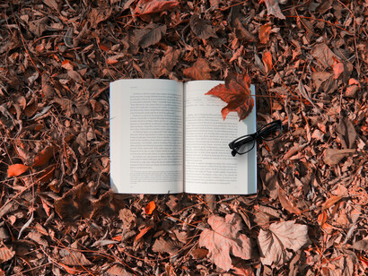Libro sobre hojarasca: leer puede resultar crucial en las etapas de la vida en que debemos reconstruirnos