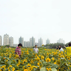 Marta Corada, centuryparkshanghai