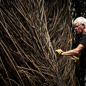 Patrick Dougherty. Courtesy of BYU Museum of Art