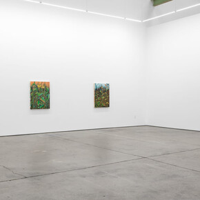 Didier William, Beyond the bodies' edge, exhibition view. Courtesy of Altman Siegel