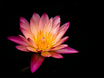 Aggiungi la meditazione a un altro rituale  