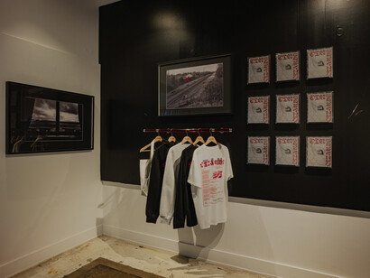 Robert LeBlanc, Tin lizards, exhibition view. Courtesy of Fahey/Klein Gallery