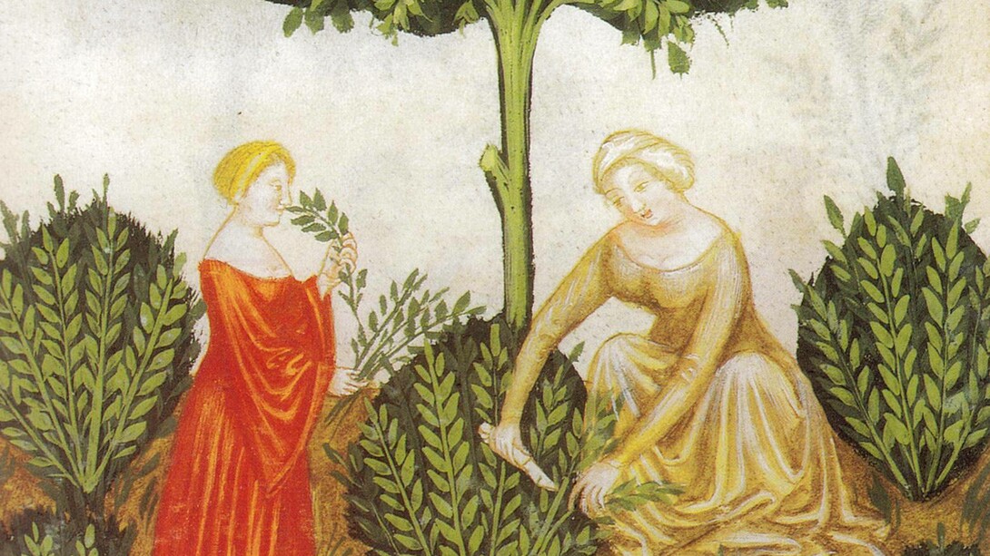 Tacuinum Sanitatis, XIV sec