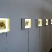 Nikki Luna. Play Ground, Exhibition view. Courtesy of Owen James Gallery