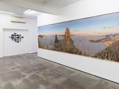 Alberto Baraya. Courtesy of Galeria Nara Roesler