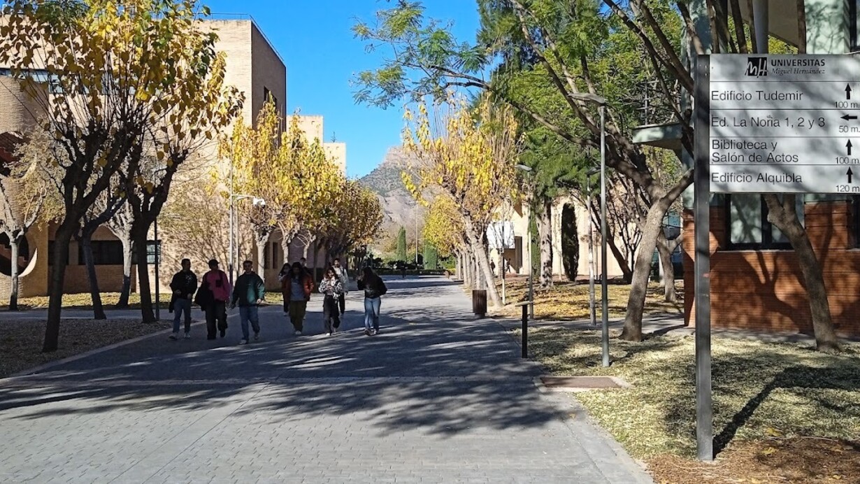 La Escuela Politécnica Superior de Orihuela (EPSO) es el centro universitario más antiguo de la provincia de Alicante y a ha puesto en marcha la Cátedra de Agricultura de precisión, digitalización y sostenibilidad