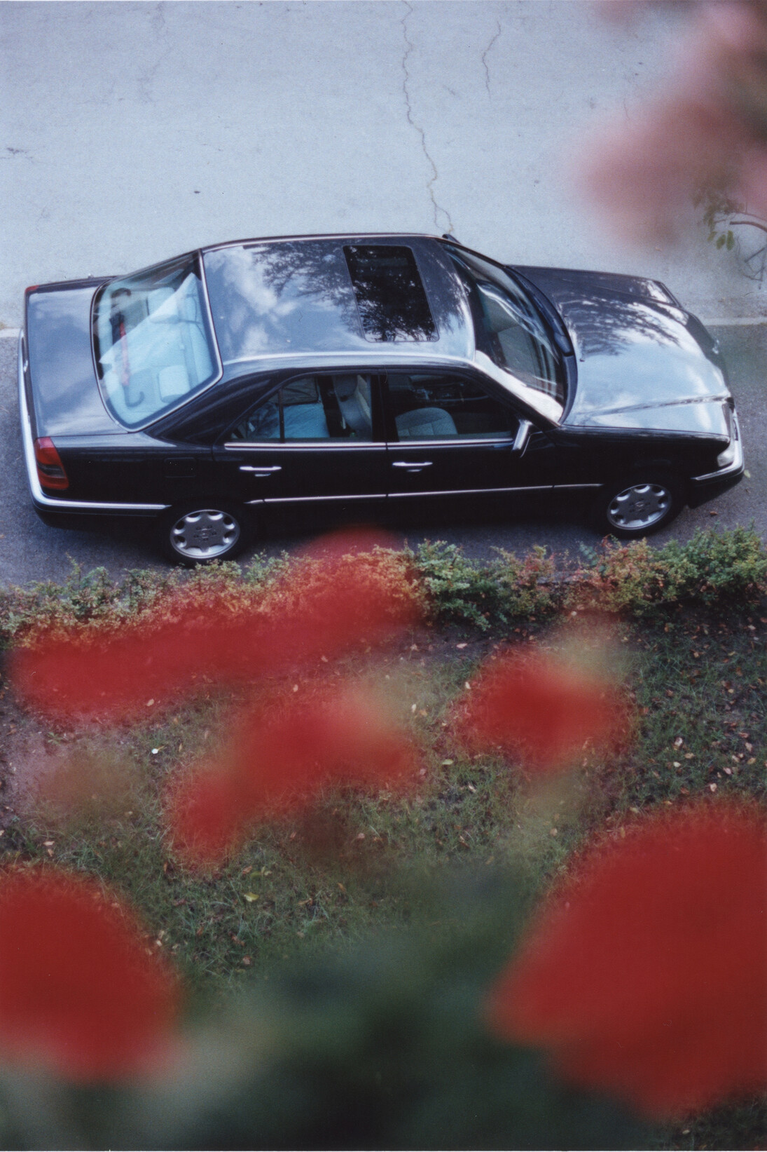 Samuel Laurence Cunnane, Mercedes, 2014, Hand-printed C-type print on archival photo paper, framed, 15 x 10 cm / 6 x 4 in, Image courtesy Kerlin Gallery
