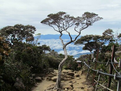 Un tratto del sentiero che conduce sulla cima del monte