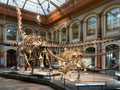 The World of Dinosaurs. Courtesy of Museum für Naturkunde