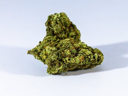 Detailed image of cannabis leaves, reflecting Europe's growing cannabis market and changing attitudes toward usage