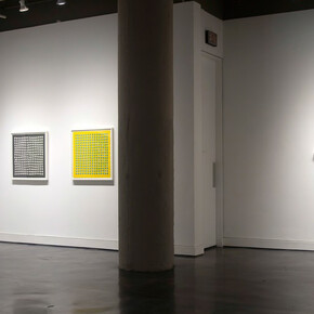 Optical // Obstacle. Courtesy of Locks Gallery