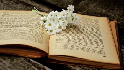 Daisies on an old book 
