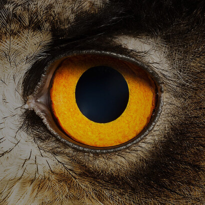 No recomiendo a nadie tratar de ponerse en contacto con ese poder. Mejor, seguir insistiendo con plegarias que a nadie hacen daño