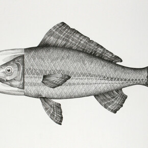 Otto D’Ambra, Fear