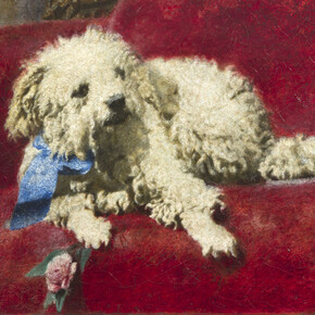 Daniele Ranzoni, Barboncino bianco (Il cagnetto Troubetzkoy), olio su tela, 37 x 44 cm