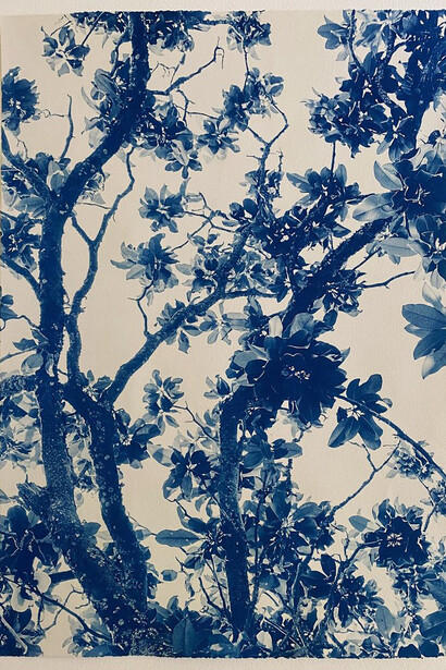 Dora Somosi, Imogen Cunningham (detail). Courtesy of the artist and Klompching Gallery