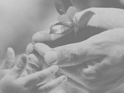 The tendency to avoid facing unpleasant truth, when accepting responsibility, is a part of human nature