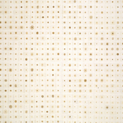 Michelle Stuart, Aquilegia (detalle), 1995–97. Cortesía del Parrish Art Museum