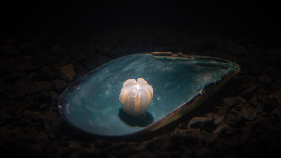 Future Generation Art Prize 2019. Courtesy of PinchukArtCentre