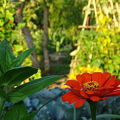 Orto delle Monache del Monte Tabor