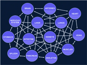 Life as an integrated unity, where all organs are not isolated parts, but they are all linked and dependent from each other