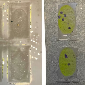 Dominique De Beir, Album 3 (détail), 2026. Avec l'aimable autorisation de la galerie Hopstreet