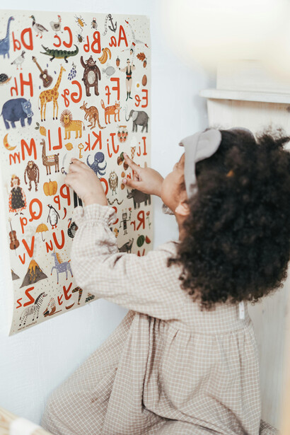 Donald Norman expandiu o conceito de affordances, mostrando que as percepções das possibilidades de ação podem ser influenciadas pelo conhecimento prévio