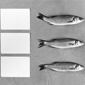 Victoria Jenkins, Fig. 9