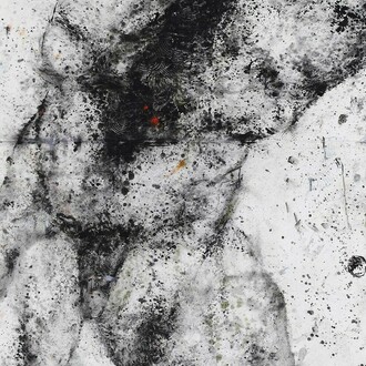 Stare, Ferle. Courtesy of Z Gallery Arts