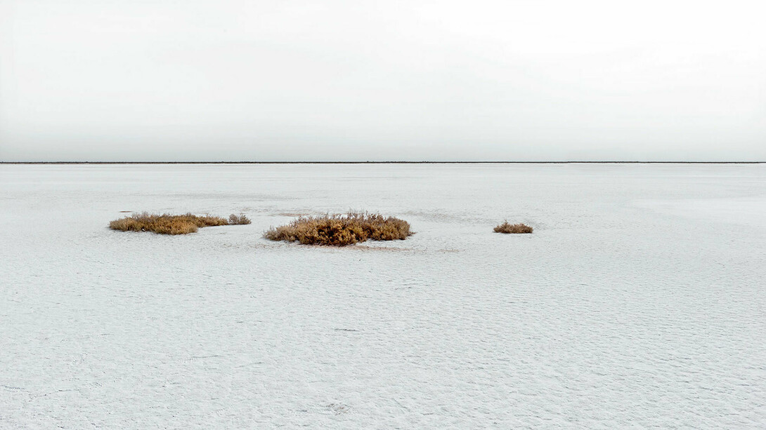 Fabrizio Ceccardi. Courtesy of RBcontemporary