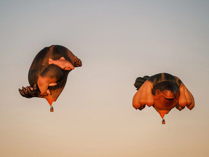 Skywhales across Australia, artwork in exhibition. Courtesy of the National Gallery of Australia