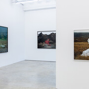 Riitta Päiväläinen, Phantasma, ausstellungsansicht. Mit freundlicher genehmigung von Persons Projects