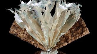 Aqua, 2010. Resina, inchiostro, corteccia, carta. Collezione privata.