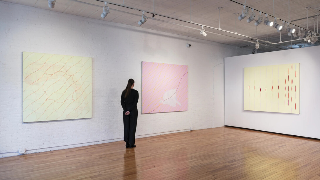 Audra Skuodas, Vibrational vulnerability, exhibition view. Courtesy of Cristin Tierney Gallery 