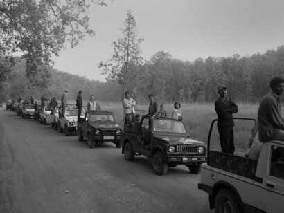 Vehicles at tiger show, Bandhavgarh, India - stimulus to mass tourism will revive its destructive potential © Ashish Kothari