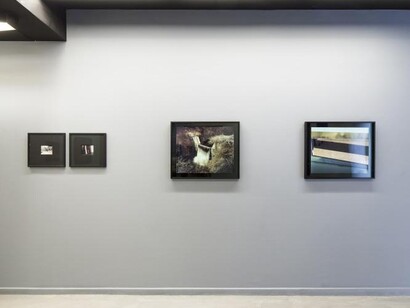 Toshio Shibata. Courtesy of Polka Galerie