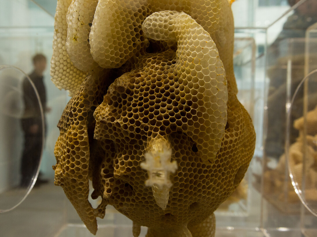 Ren Ri, Yuansu Series