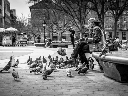 In Washington Square Park, even the pigeons seem to find their place in the spectacle of daily life