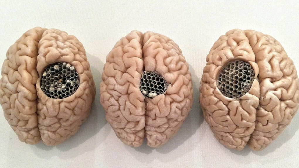Lidó Rico. Courtesy of Luisa Catucci Gallery
