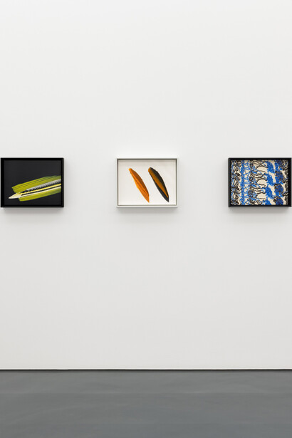 Tauba Auerbach, Clepsydra, exhibition view. Courtesy of Esther Schipper Gallery