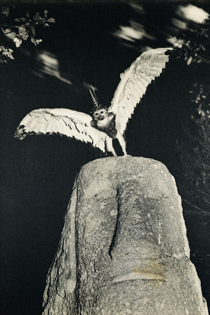 Cercophitecus Icarocornu from the Fauna series by Joan Fontcuberta and Pere Formiguera, 1987, © Joan Fontcuberta and Pere Formiguera